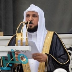 “التعاون الإسلامي” تدين استمرار المحاولات الحوثية استهداف المدنيين في المملكة