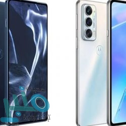 الوصل الإماراتي يعلن رسميا تجديد عقد فابيو دي ليما حتى 2025