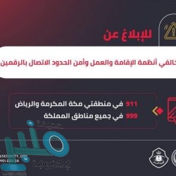 ضبط 604 مخالفاتٍ لأحكام الأنظمة الضريبية