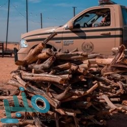 العثيمين يدعو المجتمع الإسلامي والدولي لدعم العراق