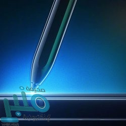 هاري كين يعلن عودته لتدريبات توتنهام