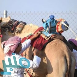 القبض على 3 وافدين انتحلوا صفة رجال أمن وسرقوا منزل مقيم في جدة