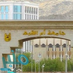 تركيب أكثر من 5 آلاف شريحة إلكترونية للمطايا بمهرجان ولي العهد للهجن بالطائف