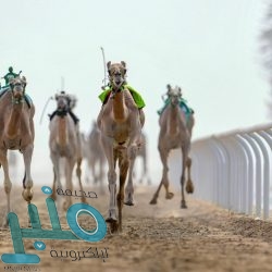 متحدث الصحة: متحور دلتا موجود في المملكة .. وهو الأكثر انتشارًا حول العالم