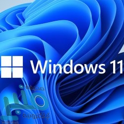 ميرور: مانشستر سيتي لن يتعاقد مع هاري كين حال حسم صفقة جاك غريليش