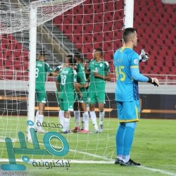 شرطة القصيم: القبض على مقيمين ارتكبا جرائم نصب واحتيال مالي