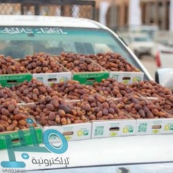 “التعاون الإسلامي” تستنكر بشدة المحاولة الحوثية لاستهداف المدنيين في خميس مشيط بطائرتين مفخختين