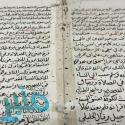 القوات الخاصة للأمن البيئي توقف (21) مخالفًا لنظام البيئة لارتكابهم مخالفات رعي