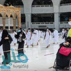 رئيس الأركان يبحث مع قائدين عسكريين باكستانيين تعزيز العلاقات