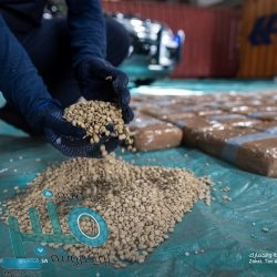 خطيب المسجد الحرام: من شأن العاقل اليَقِظ ألا يُضيِّع شيئًا من عمره بالبطالة