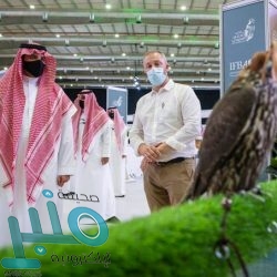 “التعليم” توضح إرشادات الدخول لمنصة روضتي أو مدرستي