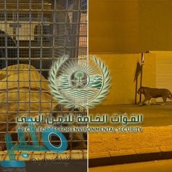 إغلاق “مطعم شهير” في جدة بعد مصادرة لحوم غير صالحة