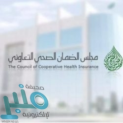 «نزاهة» توضح حقيقة وثيقة بيع قطع أثرية يمنية في لندن