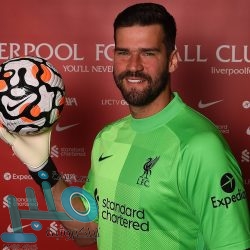 “واتساب” يطرح ميزة جديدة للصور والفيديو