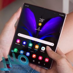 منع مشجع لآرسنال من دخول الملعب لـ 3 سنوات بسبب “التحريض على العنف” ضد تشاكا