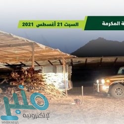 “الغذاء والدواء” توضح طرق حفظ التمر.. وتشدد على أهمية غسله قبل تناوله