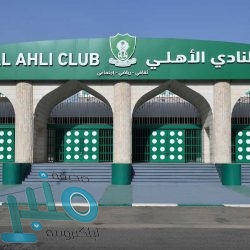 “الطاقة”: تخصيص أرضين بمساحة 12 مليون متر مربع في المدينتين الصناعيتين في جدة ورابغ