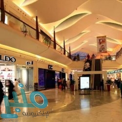 نائب وزير الشؤون البلدية يدشن أعمال مبادرة “الجاكرندا” في عسير