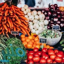 الأرصاد: توقعات بهطول الأمطار الرعدية على 4 مناطق