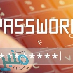 “واتساب” يختبر ميزة تتيح للمستخدمين العثور على المتاجر والتواصل معها