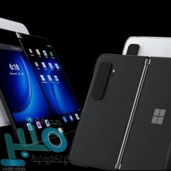 الرئيس عبدالمجيد تبون يرصد 3 ملايين دولار لنقل مباريات الجزائر بتصفيات كأس العالم