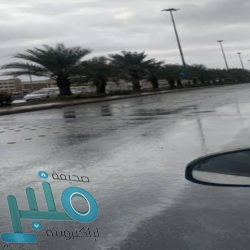 وزير الخارجية يعقد جلسة مباحثات رسمية مع نظيره النيجيري