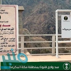 %24.6 من مستخدمي الإنترنت في المملكة تأثرت حياتهم الاجتماعية والمهنية سلبياً