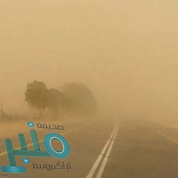 فِي احتفائية بهيجة ..تعليم القنفذة يحتفي باليوم الوطني ٩١