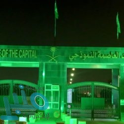 القبض على لص مركبات دهس مقيما في مكة