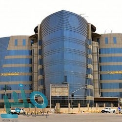 وزارة التعليم ترفع نسبة إسناد تدريس البنين في مرحلة الطفولة المبكرة للمعلمات إلى 45 بالمئة