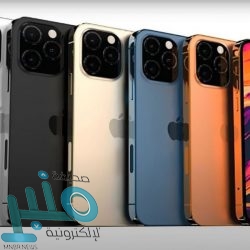 تقرير: رئيس النصر اتخذ قرارا بإقالة المدرب مانو مينيز