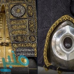 هيئة الرقابة ومكافحة الفساد تباشر عددًا من القضايا الجنائية