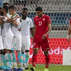 هيئة الرقابة ومكافحة الفساد تباشر عددًا من القضايا الجنائية