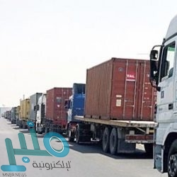 القوات الخاصة للأمن البيئي تضبط أكثر من 3725 مخالفة بيئية