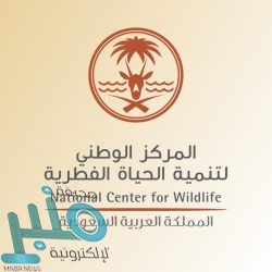 “الصحة”: تسجيل 6 وفيات و39 إصابة جديدة بفيروس “كورونا” وشفاء 50 حالة