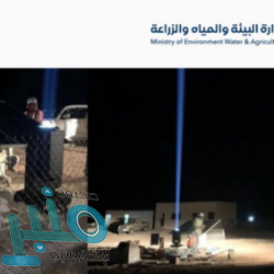 وزير الخارجية يصل الجزائر في زيارة رسمية