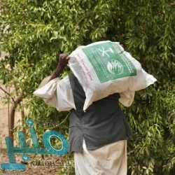 “الملكية الفكرية” تغرم شركة قامت بحيازة وعرض وبيع منتج يحمل علامة تجارية مقلدة