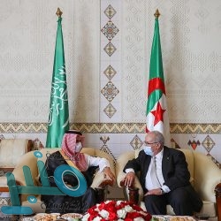 “البيئة” تنير موارد المياه بإضاءات الطاقة الشمسية لإرشاد التائهين