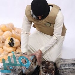 “الصحة”:تسجيل 138 إصابة جديدة بفيروس “كورونا”.. و 172 حالة تعافي