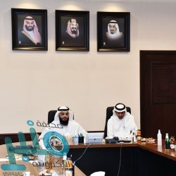 المعلمي يؤكد التزام المملكة بتحقيق ‏إصلاحات بعيدة المدى لتعزيز تمكين المرأة