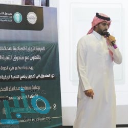 الجبير يلتقي وزير خارجية التشيك