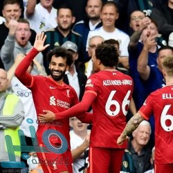 “إنستغرام” يختبر خاصية جديدة تتيح إنشاء قائمة للحسابات المفضلة