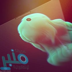 النصر يشكو مستشفى سعوديا “كبيرا” بسبب صورة تاليسكا