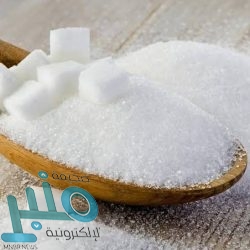 مدير “الخطوط السعودية”: 38 طائرة جديدة ستنضم للأسطول بحلول عام 2026