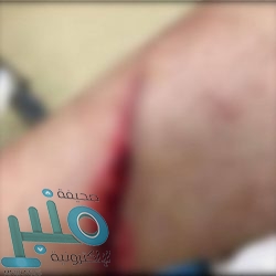 خادم الحرمين يبعث رسالة لرئيس كوت ديفوار