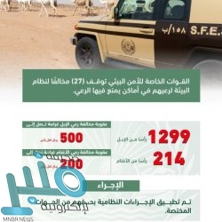 كلاب ضالة تلاحق طفلاً بتبوك.. والأهالي يطالبون بحل عاجل