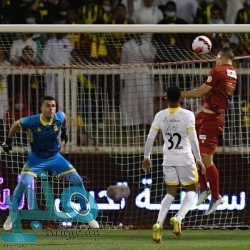 وزير الخارجية يجري اتصالًا هاتفيًا  بنظيره الصيني