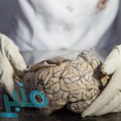 تقرير: تزايد عمليات قراصنة الـBig Game ضد أثرياء ألمانيا وشركاتها