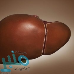 جامعة الطائف تحقق المركز الرابع بين الجامعات والمؤسسات البحثية في الدول العربية