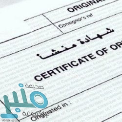 التحالف: تدمير 11 آلية عسكرية وخسائر بشرية تجاوزت 92 عنصراً حوثياً في الجوبة والكسارة